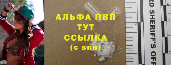 спиды Аркадак