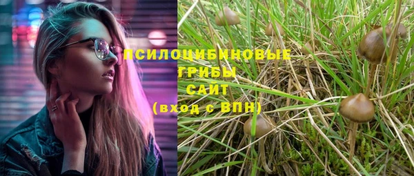 спиды Аркадак