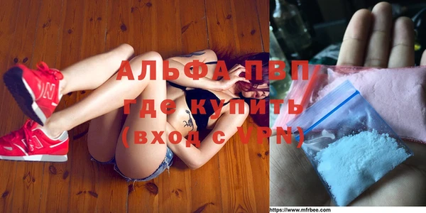 спиды Аркадак