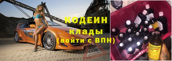 дживик Арсеньев