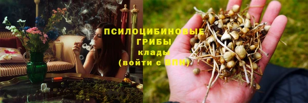дживик Арсеньев